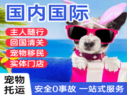 大理凤仪空运地址国际宠物托运 【国